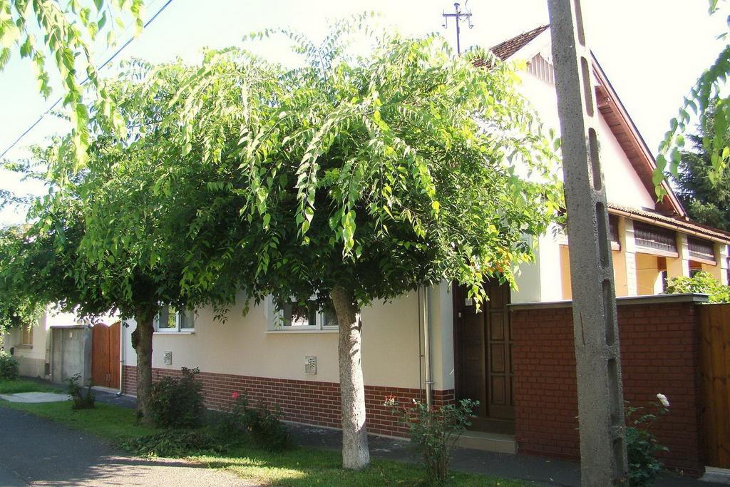 귤러 Hajnal Apartman 빌라 객실 사진